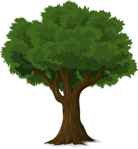 Wordsearch: Trees